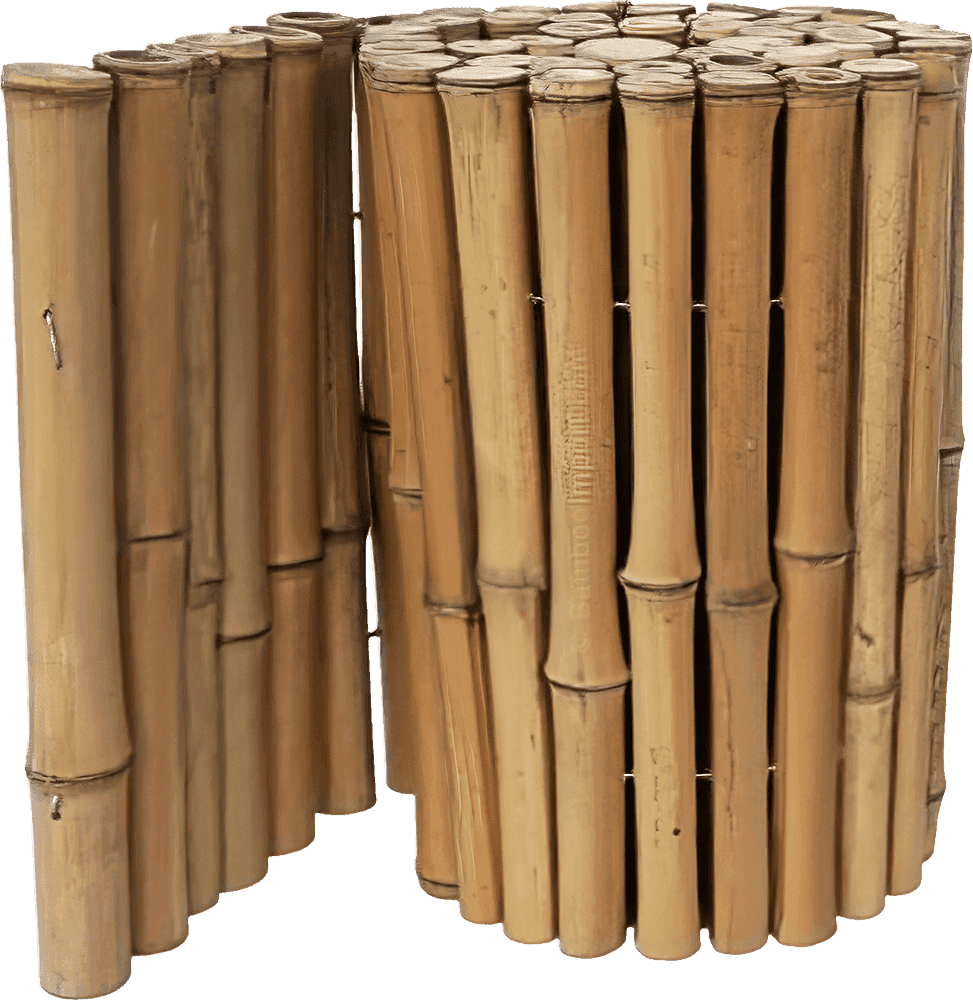 Bamboo Border Natural on roll - Moso
