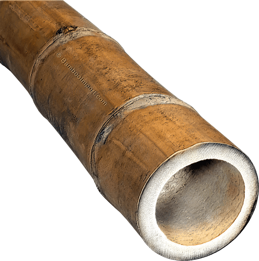 Bamboo Pole Guadua - Natural