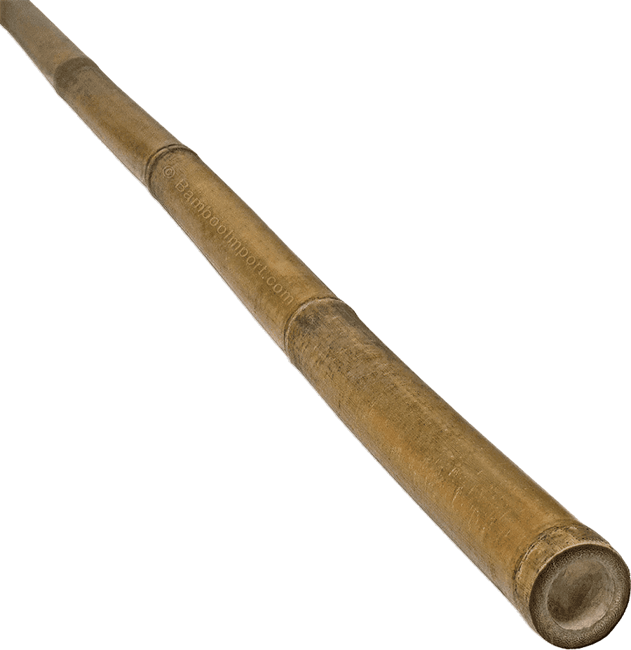 Bamboo Stick Tonkin - Natural