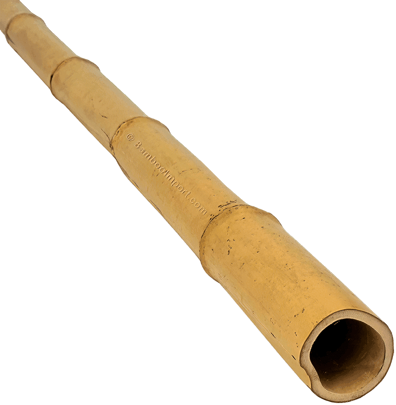 Bamboo Pole Moso (EU)