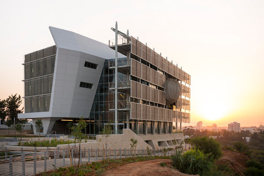De toepassingen van bamboe: innovaties in bouw en architectuur