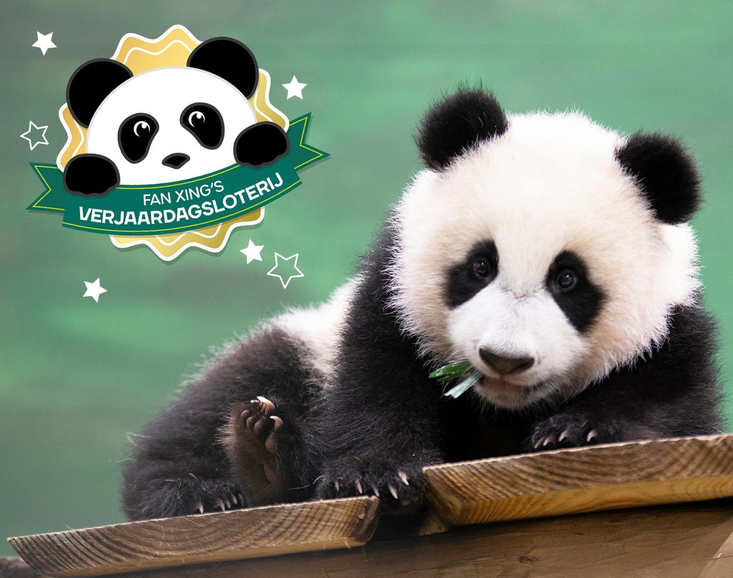 Verjaardagsloterij van Ouwehands Dierenpark