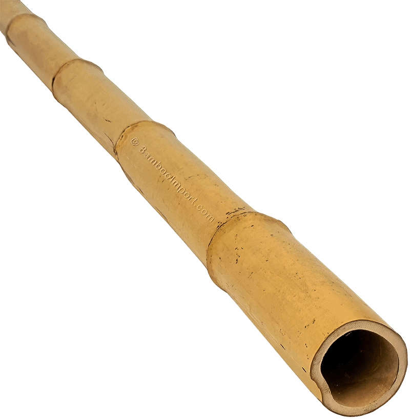 Bamboe Paal Moso - Naturel