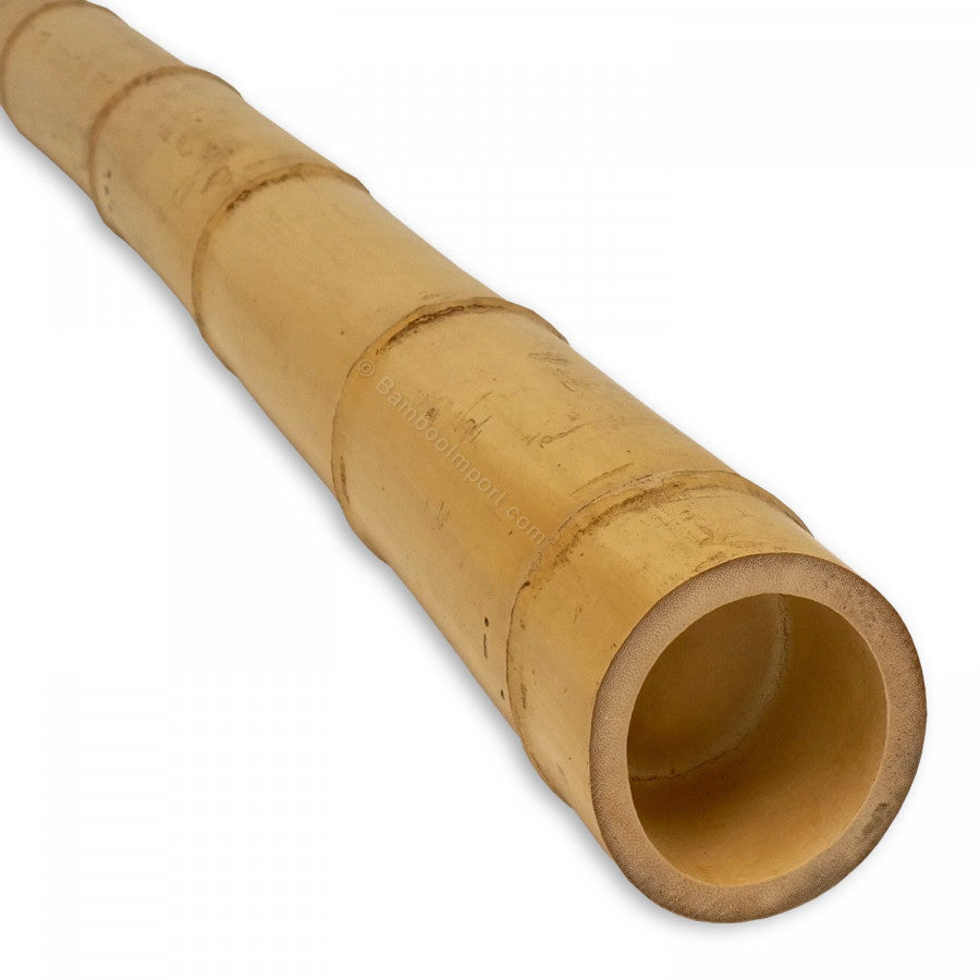 Bamboe Paal Moso - Naturel