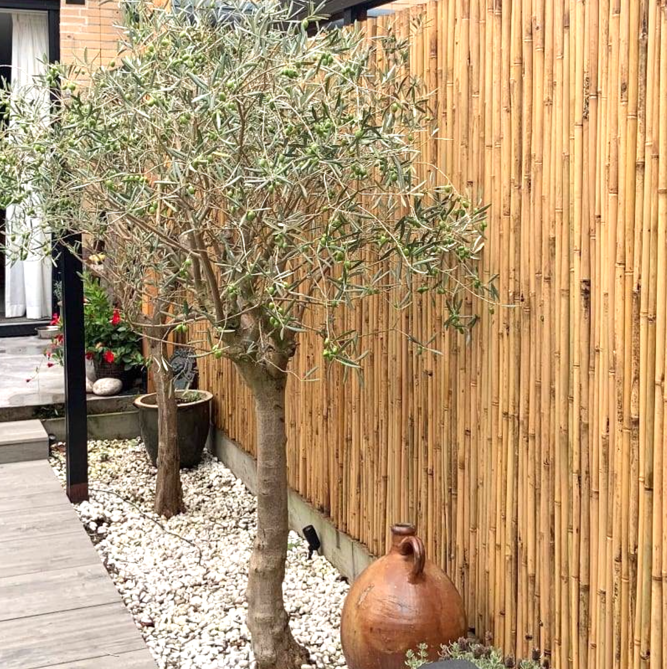 Bamboe Mat Budget Naturel - Tonkin