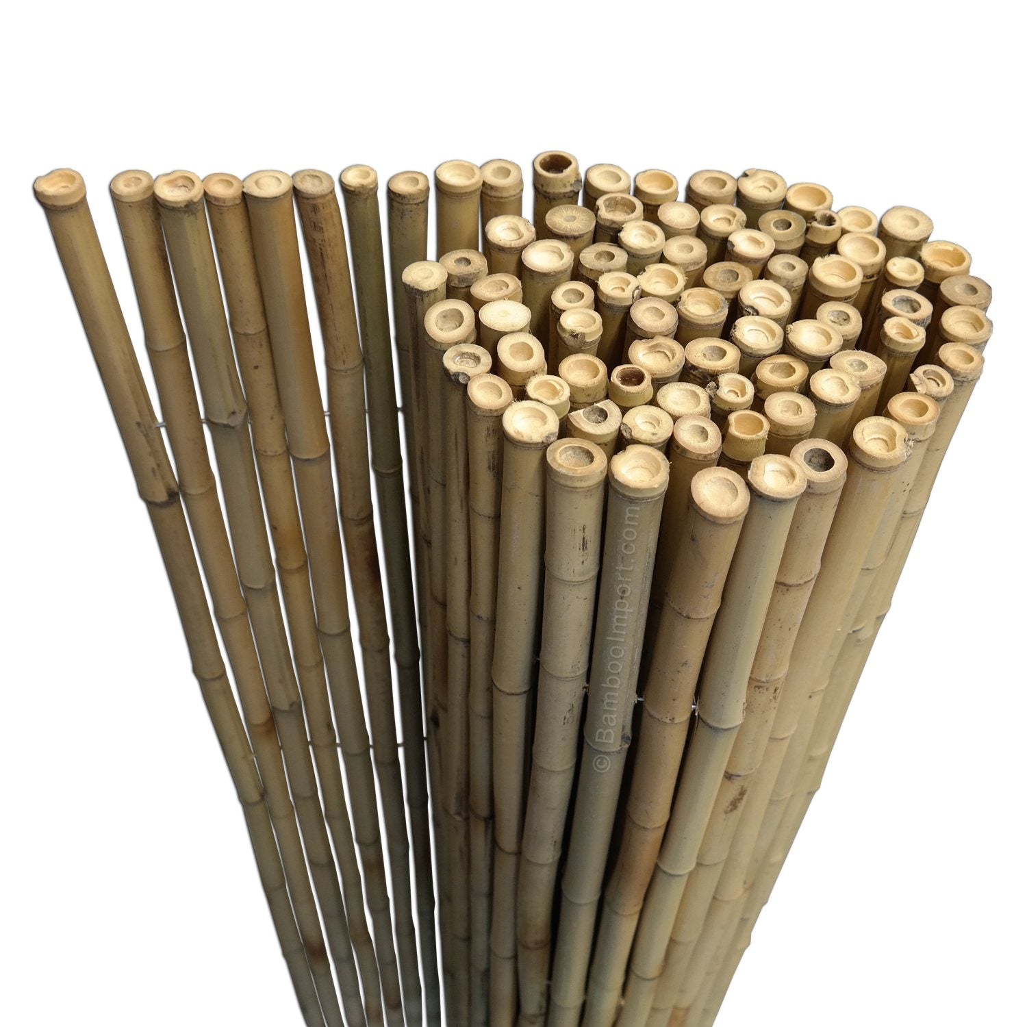 Bamboe Mat Budget Naturel - Tonkin