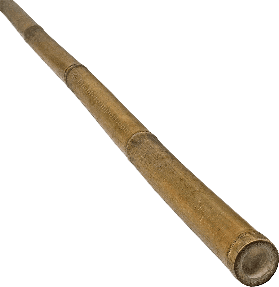 Bamboe Stok Tonkin - Naturel