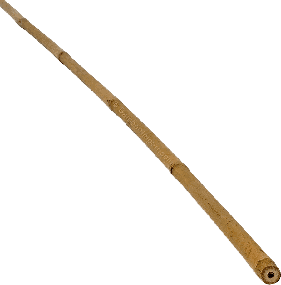 Bamboe Stok Tonkin - Naturel