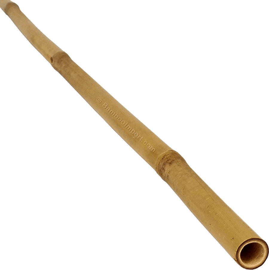 Bamboe Stok Tonkin - Naturel