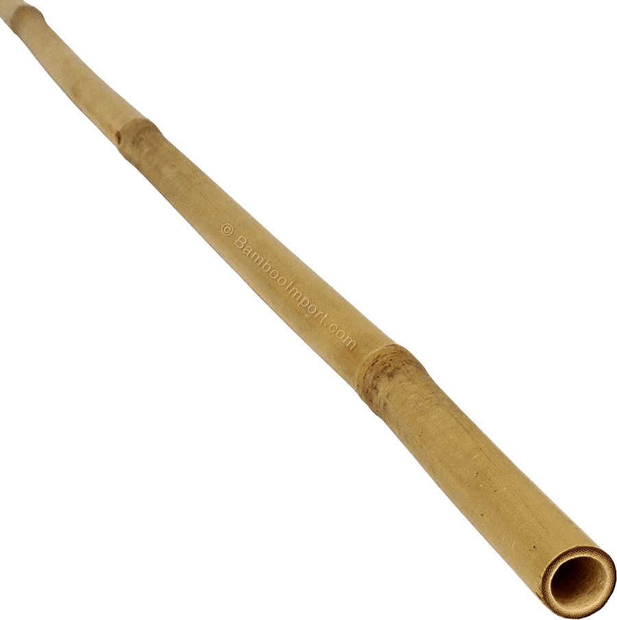 Bamboe Stok Tonkin - Naturel