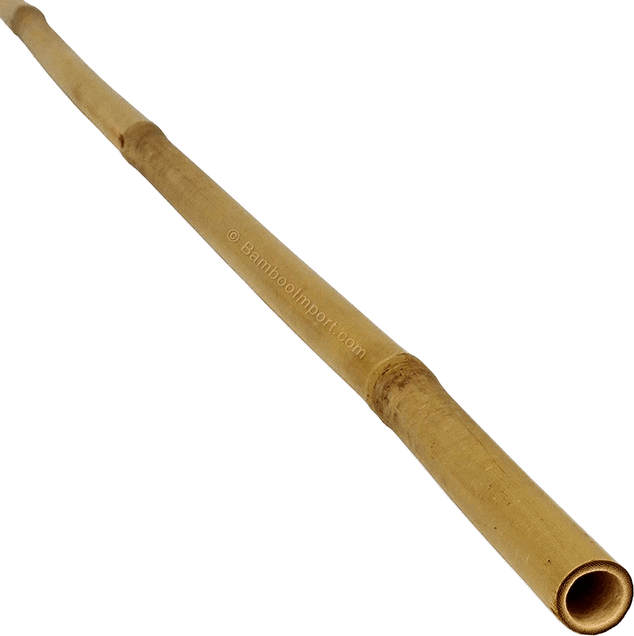Bamboe Stok Tonkin - Naturel