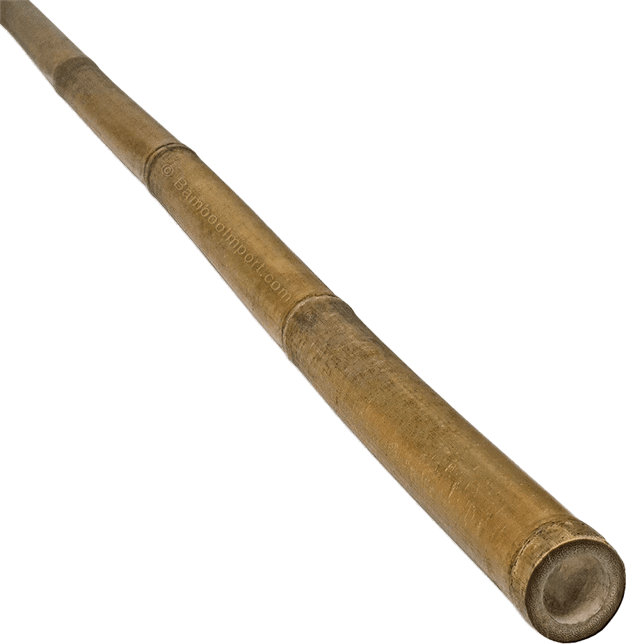 Bamboe Stok Tonkin - Naturel
